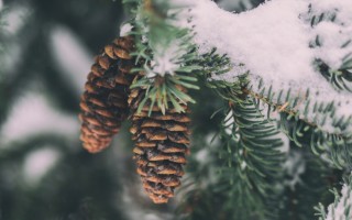 Spirituality and the Seasons of Our Lives