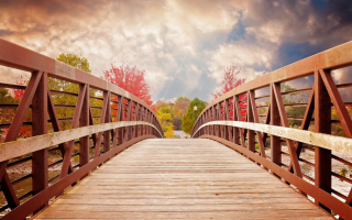 Bridges to Contemplative Living