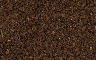 We Love Gardening 2026!