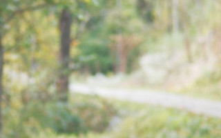 Honouring Life&rsquo;s Transitions