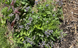 Into the Deep Day Retreat June