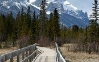 What Now? Honouring and Navigating Times of Transition